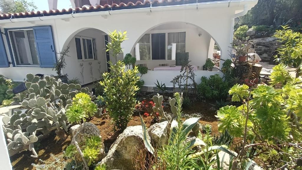 a garden in front of a house with cactus at Irini Garden House in Vathí
