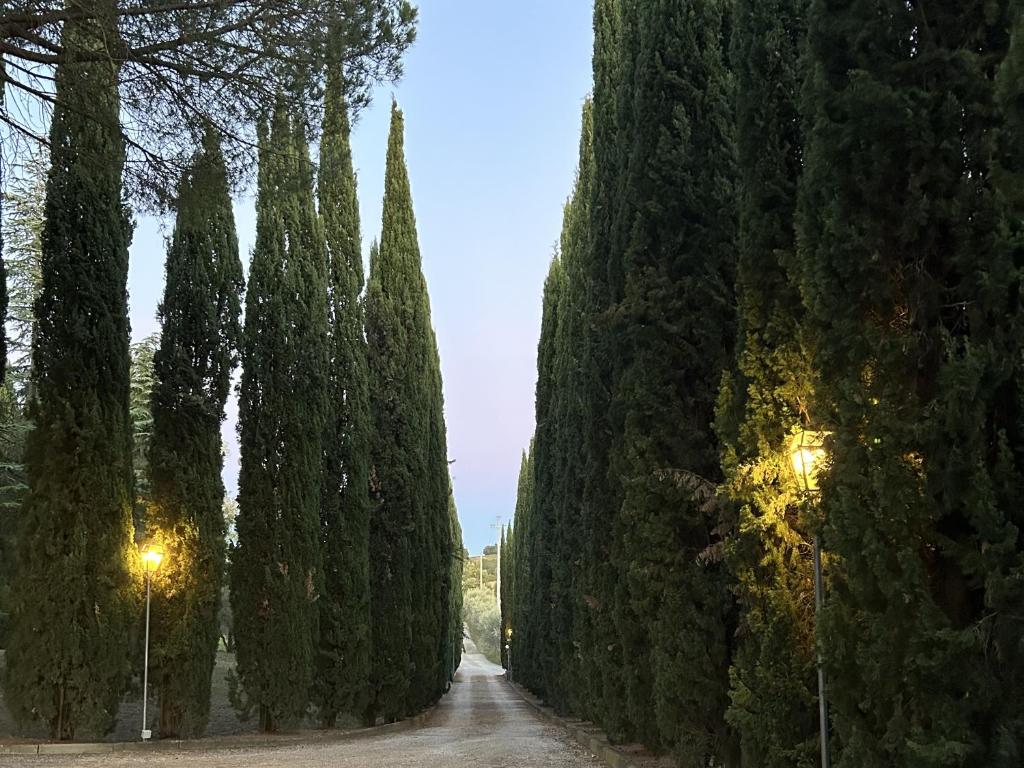 Villa Panconesi