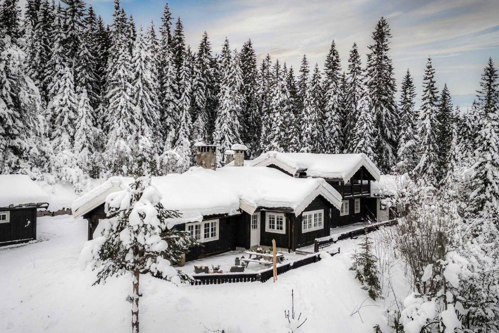 a house covered in snow in front of a forest at TH622- Premium ski-in,out Chalet with 8 bedroom, jacuzzi, sauna in Hovi