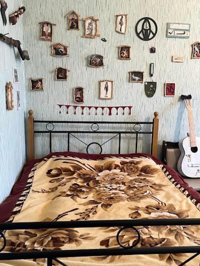 a bedroom with a bed and a wall with pictures at Enjoy Georgian Regions in Tʼetʼri Tsqaro