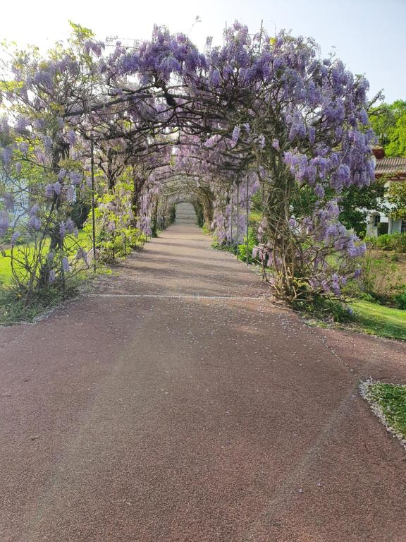 an archway with purple flowers on a road at Residence de bordaberry in Urrugne