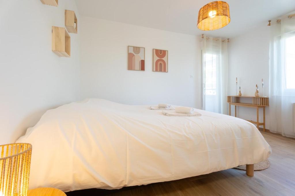 Super Studio 2 pers Near Basel Wifi Terrace 35 – photo 9
