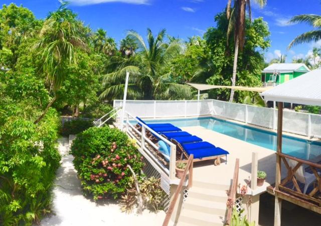 an aerial view of a swimming pool in a house at Hummingbirds Cabins in Caye Caulker