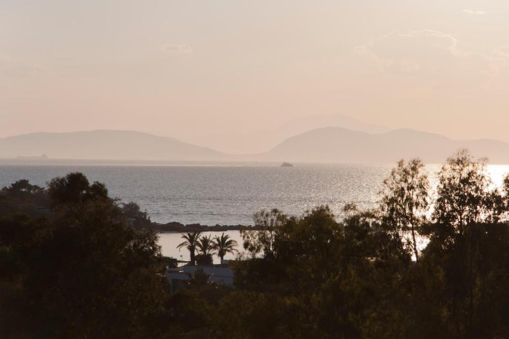 Golden Sun Hotel - Resim 26