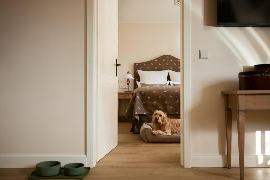 Schlosshotel Neustrelitz - Studio Met Slaapbank
