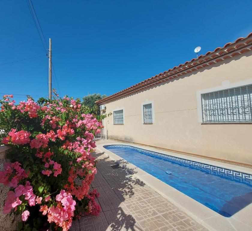 a house with a swimming pool and pink flowers at MEDDAYS Villa BERLÍN in Miami Platja