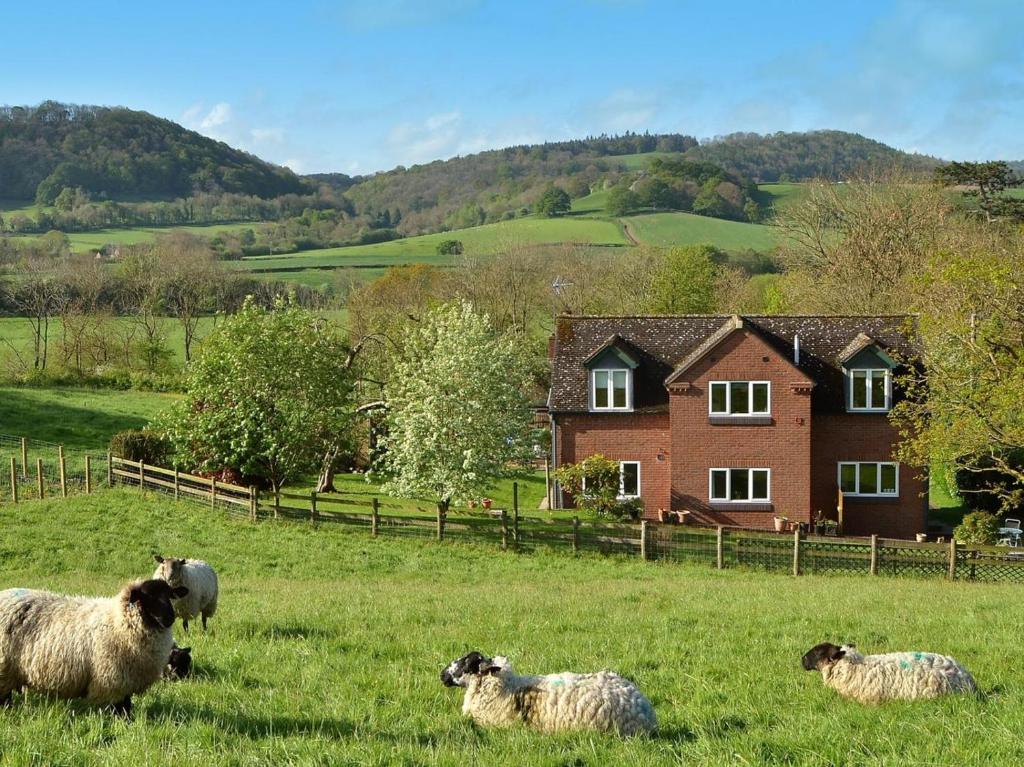 a group of sheep in a field in front of a house at 1 Bed in Telford oc-73319 in Buildwas