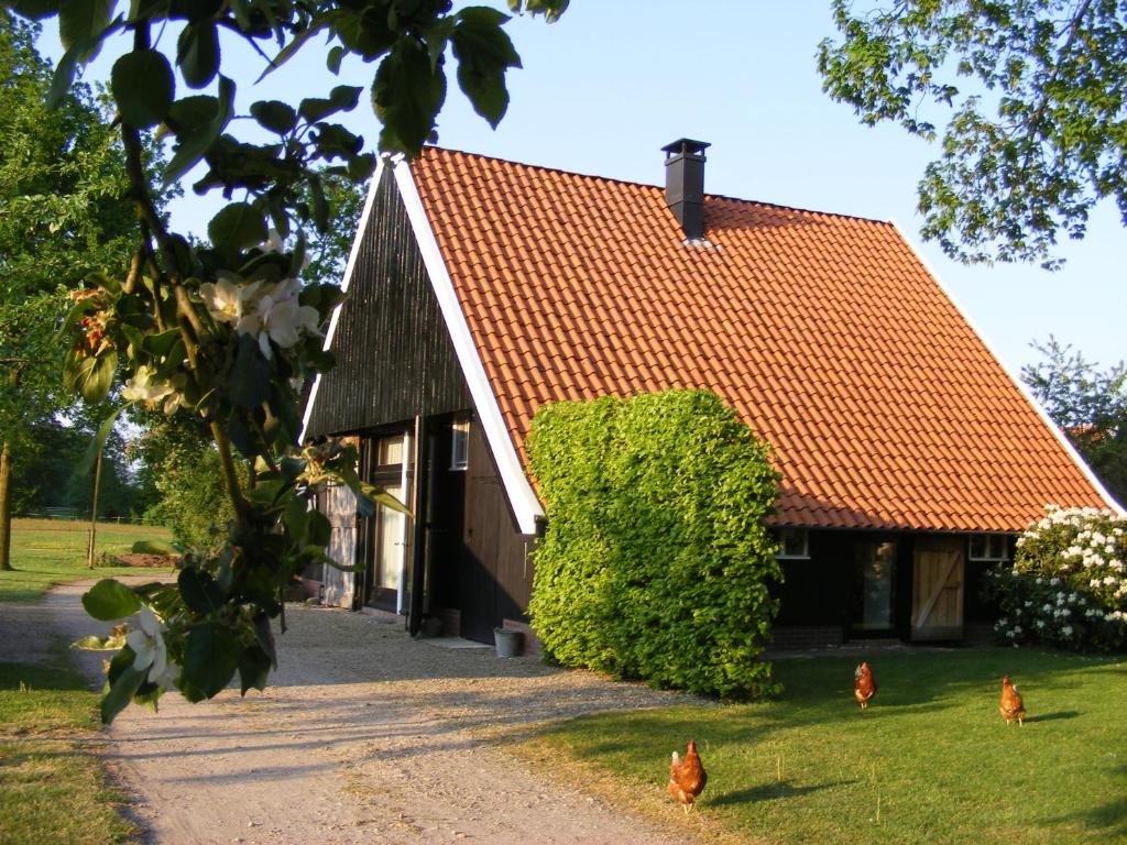 una casa con pollos parados frente a ella en "Ni-jland", en Winterswijk