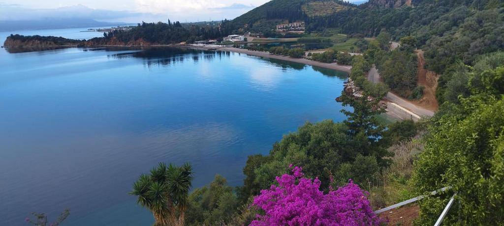 a view of a river with trees and purple flowers at Thea Monastiraki in Nafpaktos