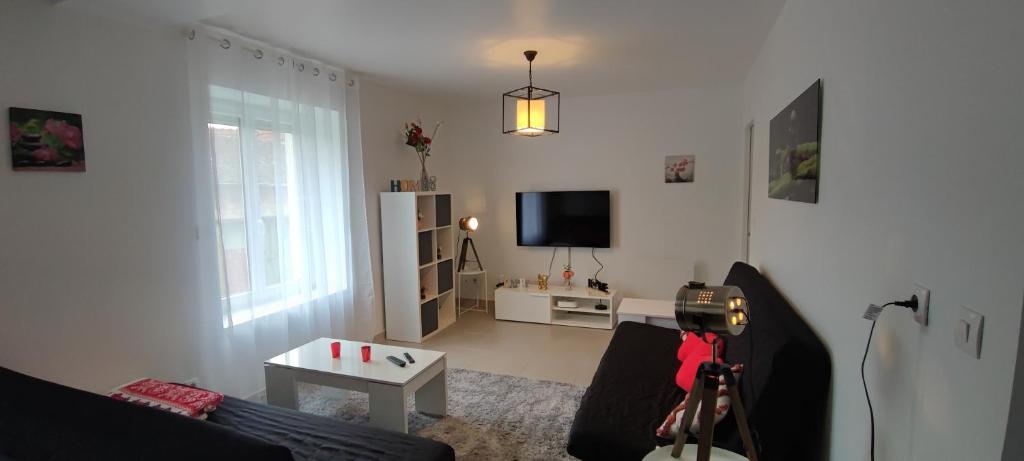 a living room with a couch and a tv at Bienvenue chez Céline in Mareuil-sur-Ourcq