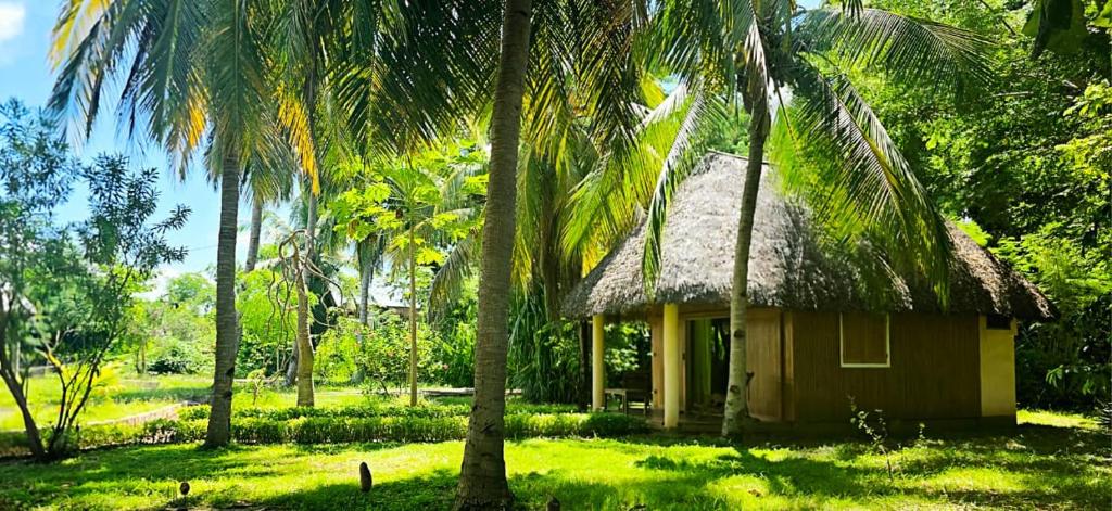 a small house with a thatched roof and palm trees at Bungalow Bleu Villa Luna Nosy Be in Nosy Be