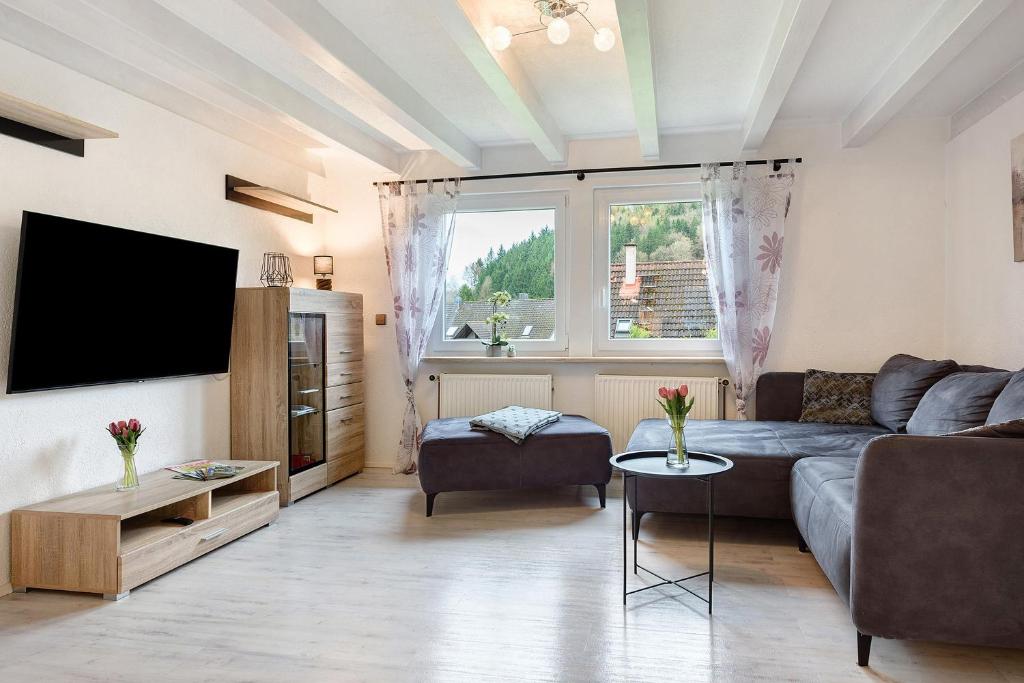 a living room with a couch and a tv at Grünes Tal - Seenah in Stockach