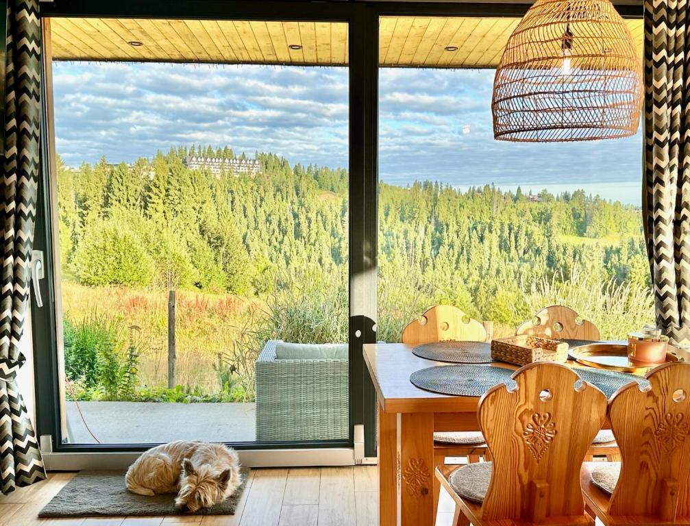 a cat laying on the floor next to a dining room table at Domek Tatry - Stacja Wierchowa 972 m in Brzegi