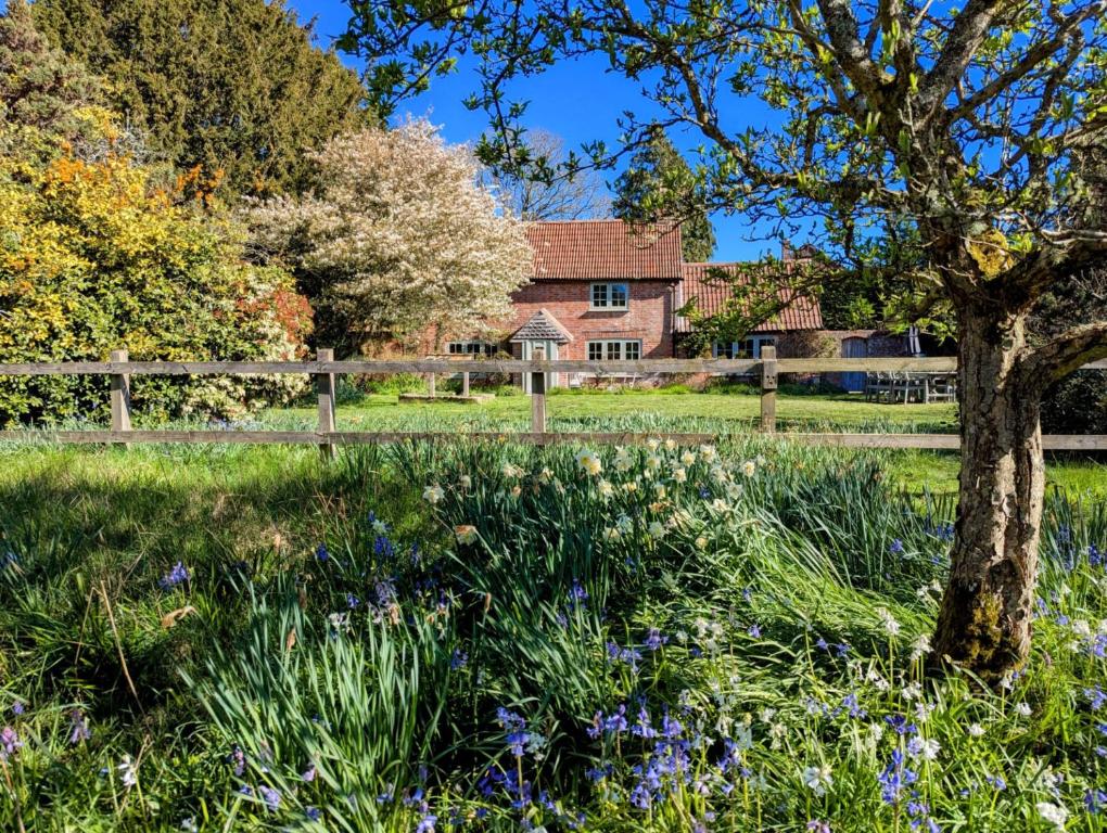 a field of flowers in front of a house at Evergreen in Bransgore