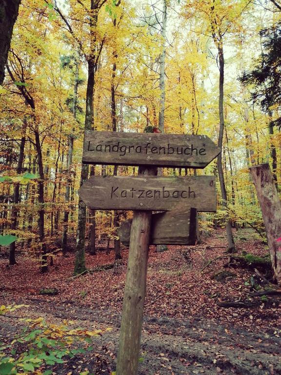 a wooden sign in the middle of a forest at Ferienwohnung Glashauser in Biedenkopf