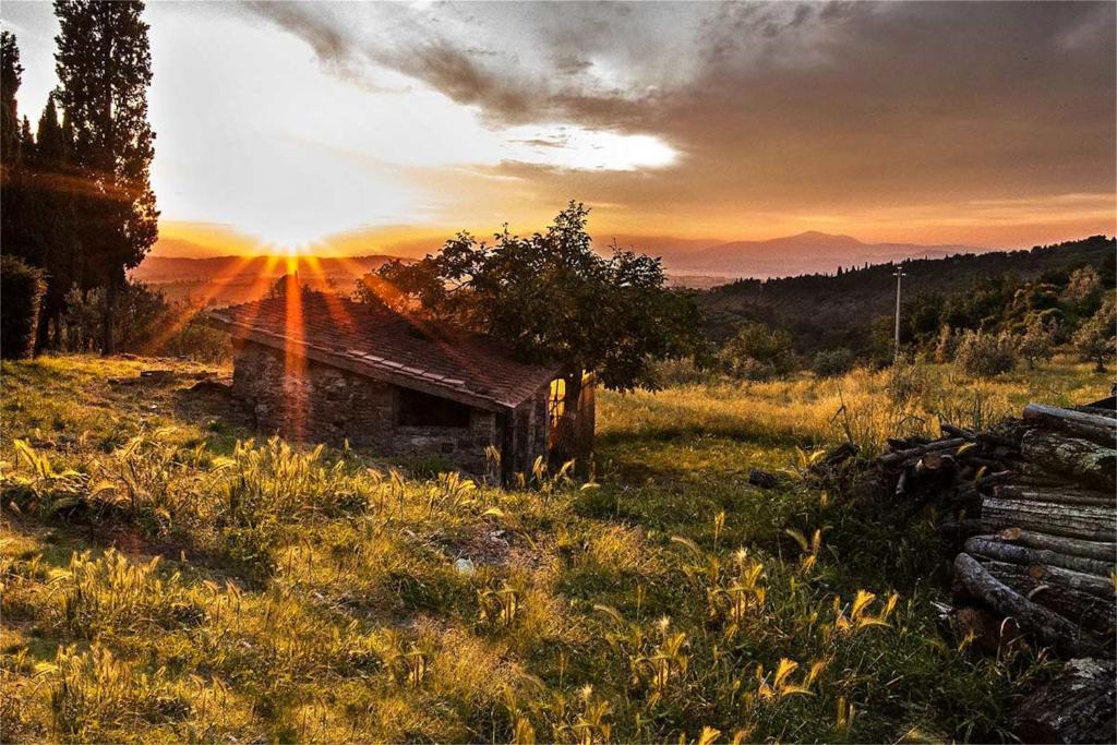 an old cabin in a field with the sun setting at Fattoria La Tavernuzza in Grassina