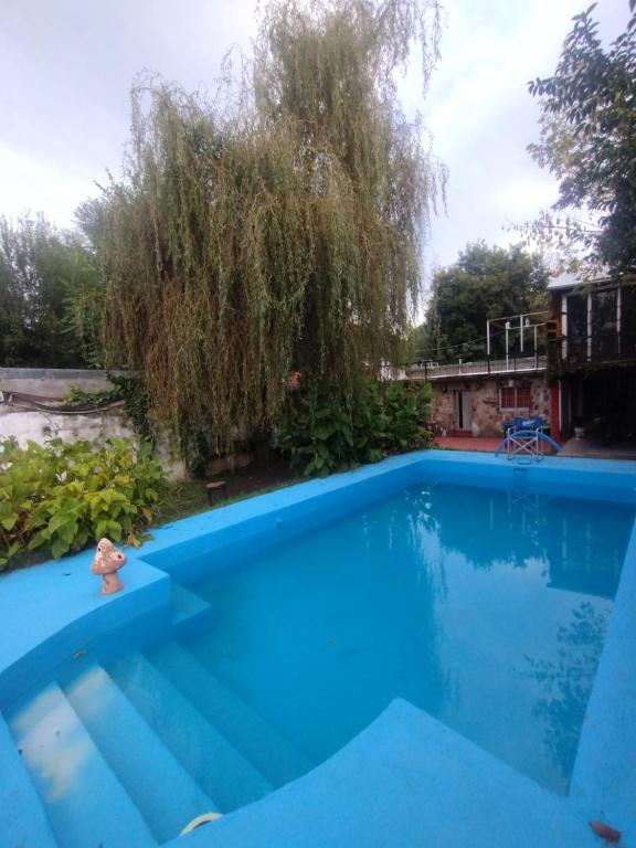 a blue swimming pool with a tree in the background at Depto Brochero in Mina Clavero