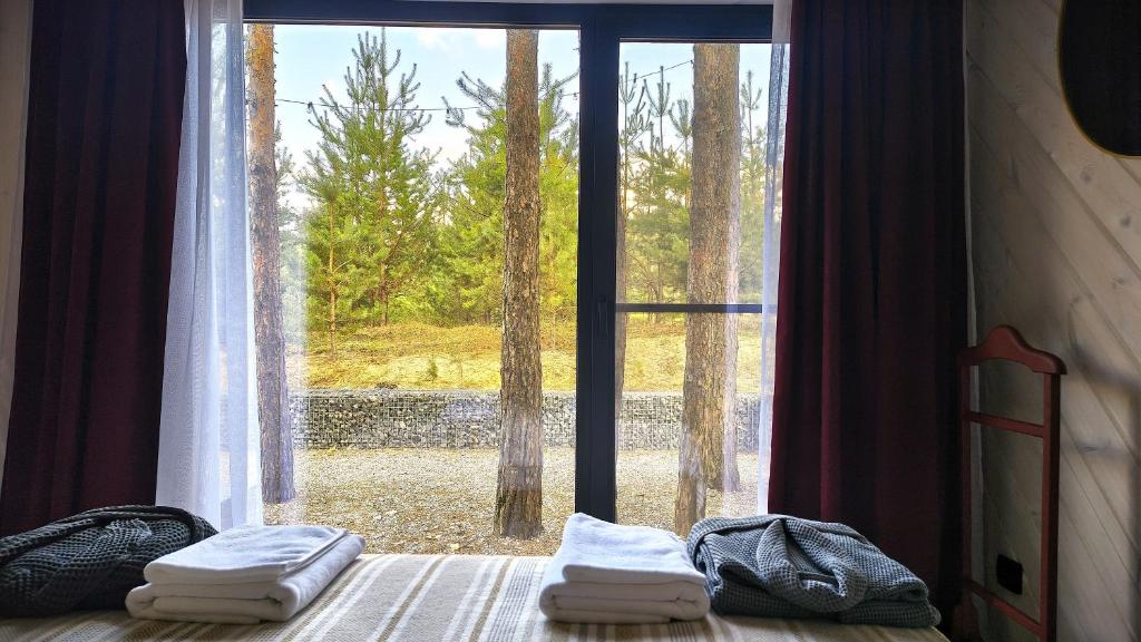 a bedroom with a large window with towels on a bed at Лісове SPA in Vishenki