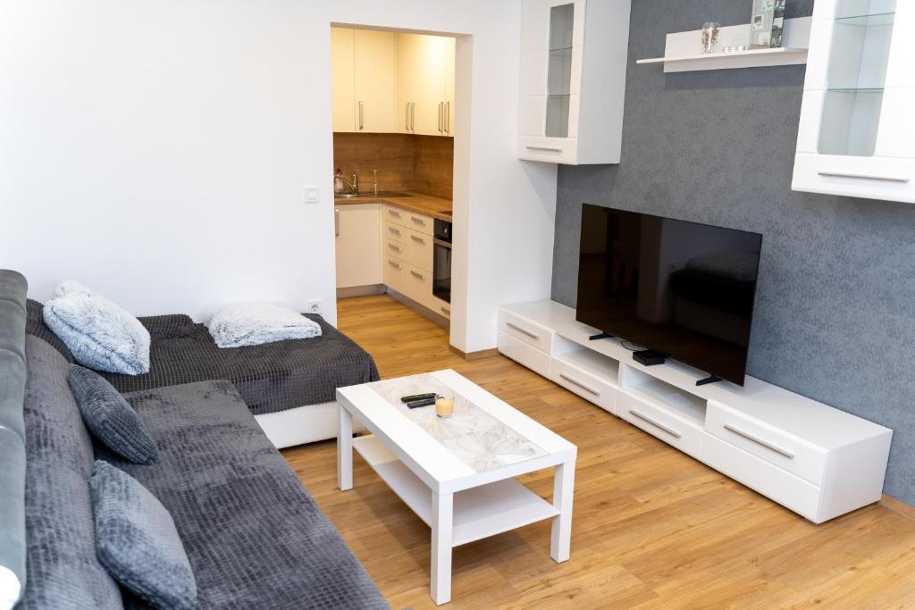 a living room with a couch and a flat screen tv at Edi Residence in Oplotnica