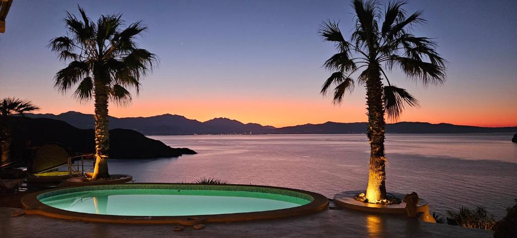 a swimming pool with palm trees in front of the water at Villa Achilleas Crete in Ierapetra