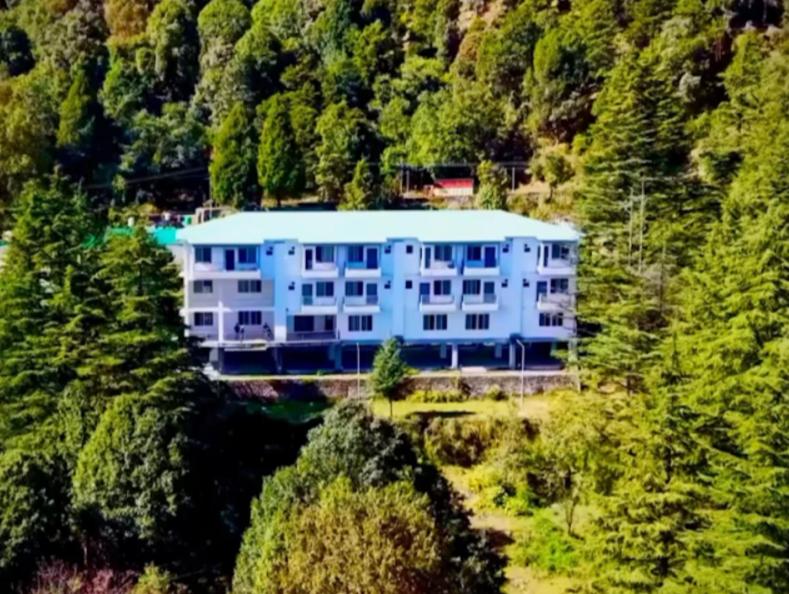a blue building in the middle of a forest at Cedar wave in Munsyari