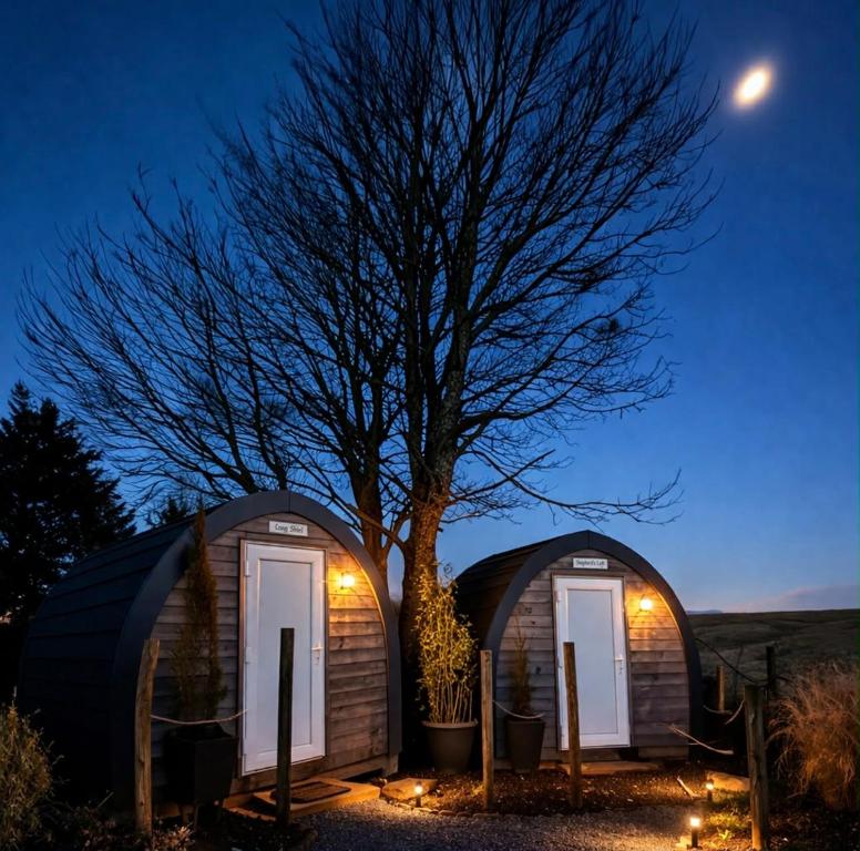 a couple of dome homes at night with a tree at Pentland View Campsite in Haywood