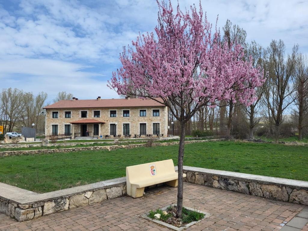 a tree with pink flowers next to a bench at El Mensario in Campisábalos
