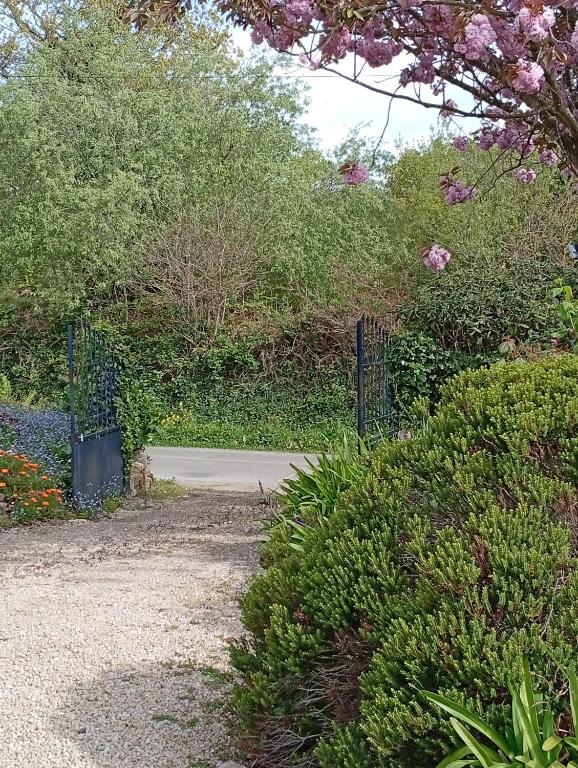 a garden with a gate and some bushes and flowers at Le studio des pins in Plouézec