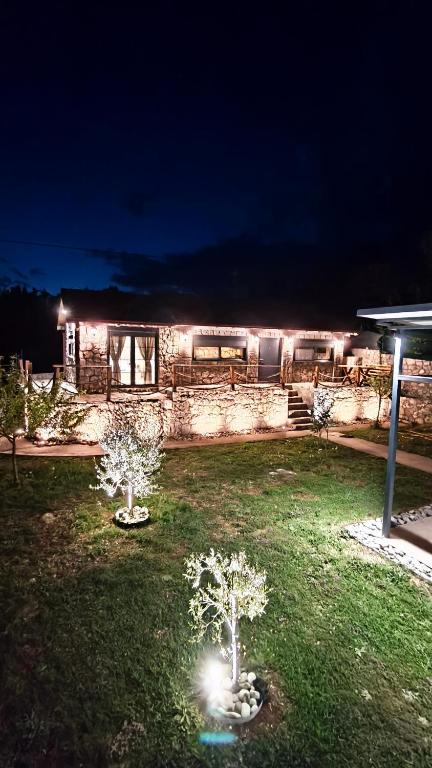 a house with two trees in a yard at night at Stone House Montenegro in Danilovgrad