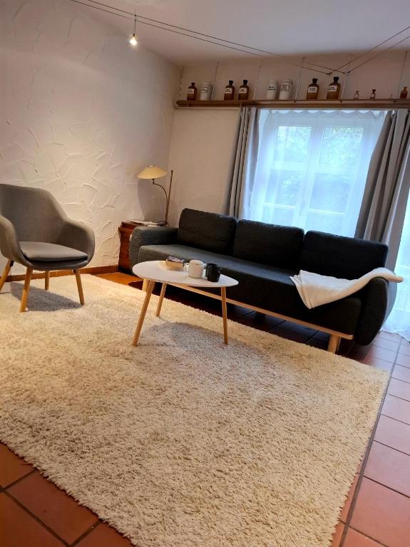 a living room with a black couch and a table at Ferienwohnung Till in Mölln