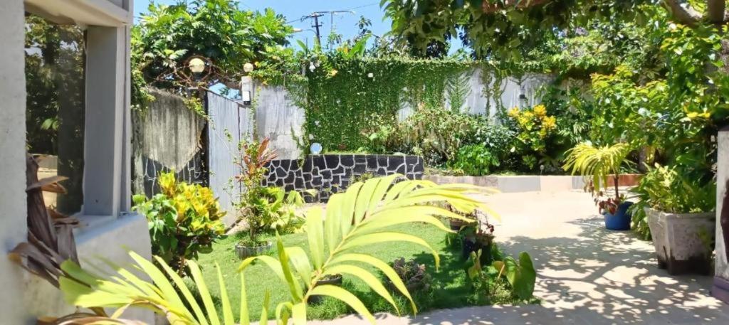 a garden with many plants and a fence at Kemmiu single room in São Tomé