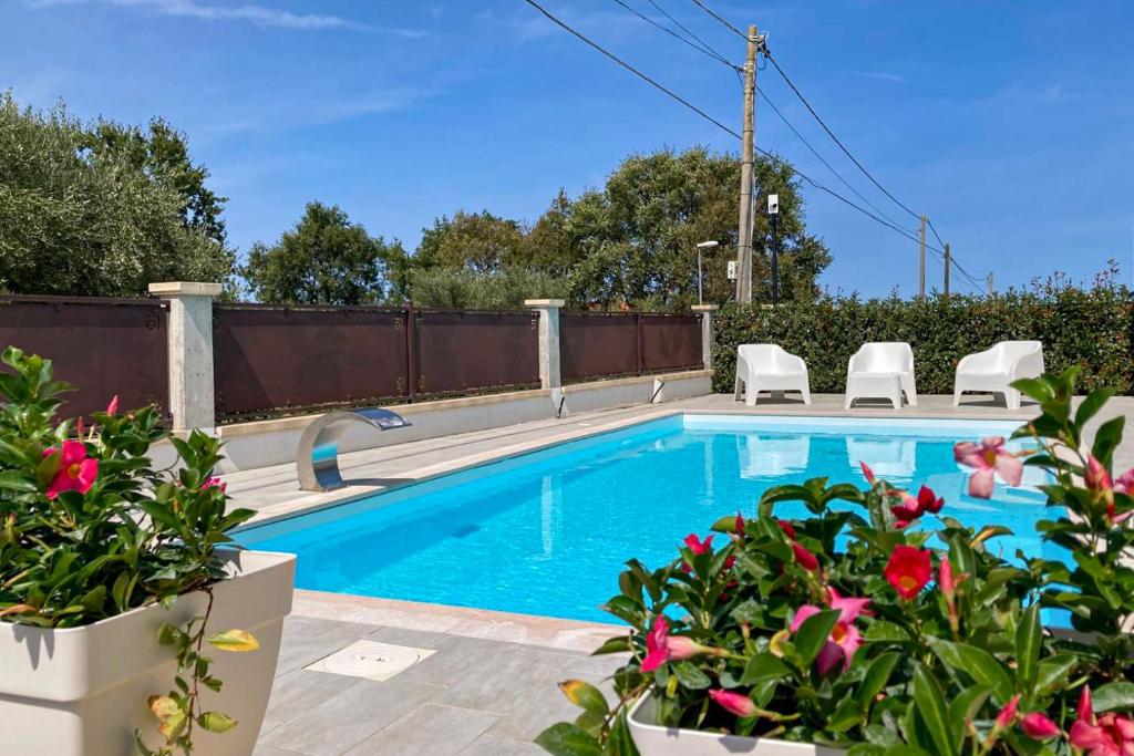 a swimming pool with chairs and flowers in a yard at Villa Novelli - YourPlace Abruzzo in Fossacesia