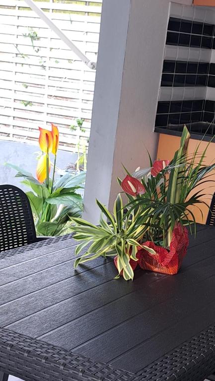 a table with a basket of plants and flowers on it at Résidence Fleur de Lys in Petit-Bourg