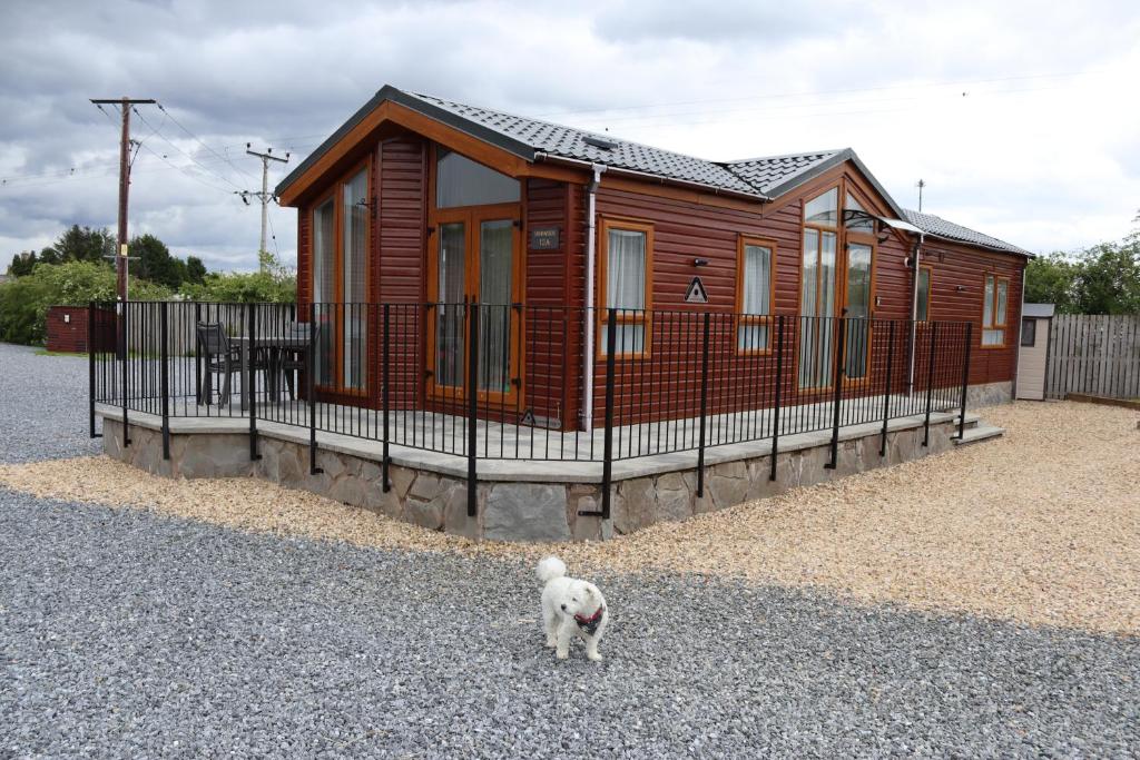 a dog standing in front of a wooden house at Sunnyside Lodge in Dunning Station