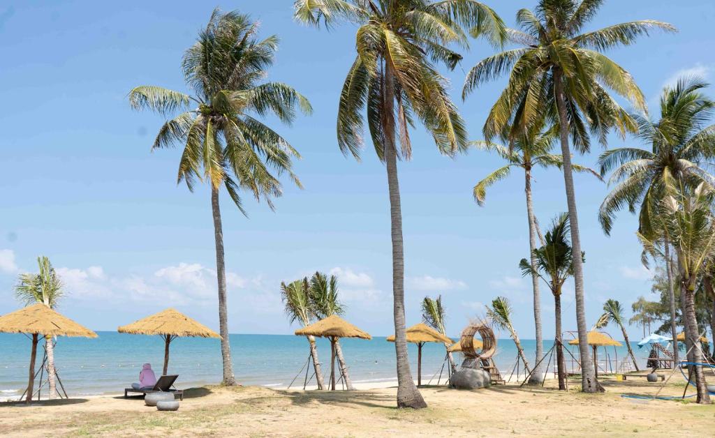 a group of palm trees on a beach with the ocean at MeySunset Hotel Phu Quoc in Phú Quốc