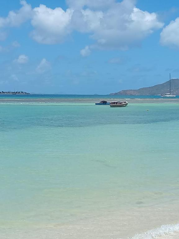 a beach with a boat in the water at Fijay Bay Inn in Carriacou