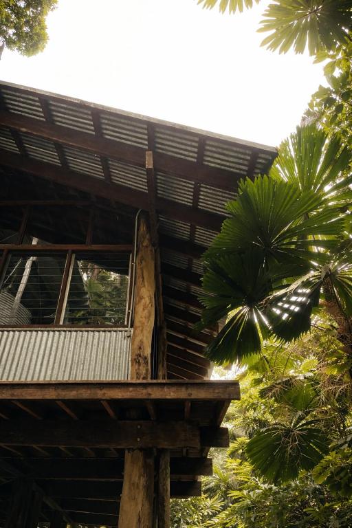 a wooden building with a porch and palm trees at Firefly in Diwan