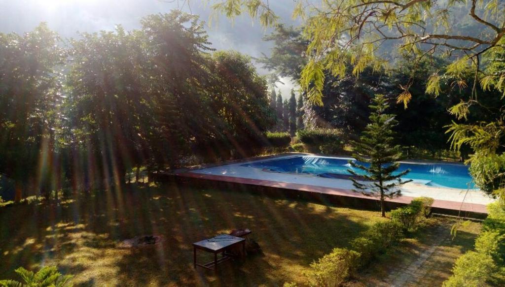 una piscina en medio de un bosque en Landmark Woods, en Kāziranga