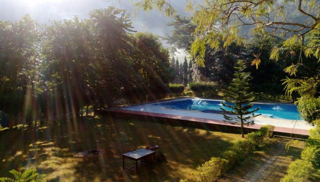 uma piscina no meio de uma floresta em Landmark Woods em Kaziranga