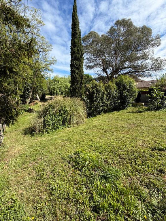 a grassy field with a tree and bushes at Gite Matilon, 5 min Eugénie les Bains in Buanes