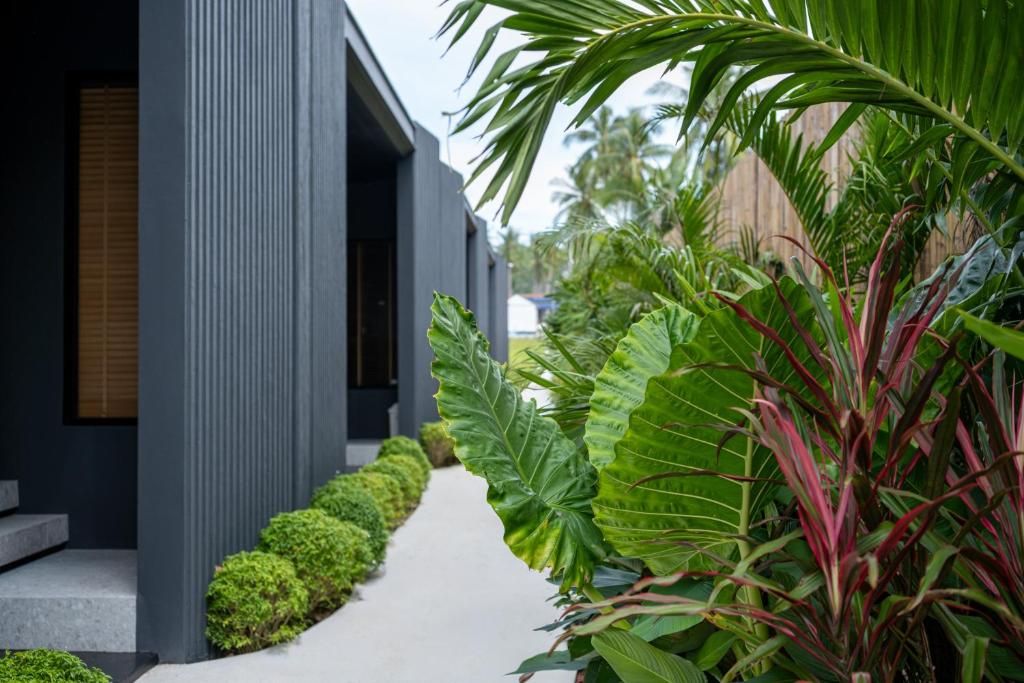 a courtyard with plants and a building at Aranya Bliss Villa 101 in Ko Phangan