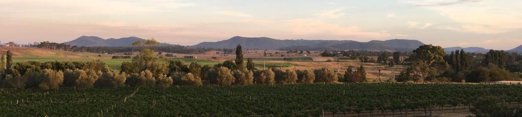 a field with trees and mountains in the background at Tranquil Vale Vineyard in Luskintyre