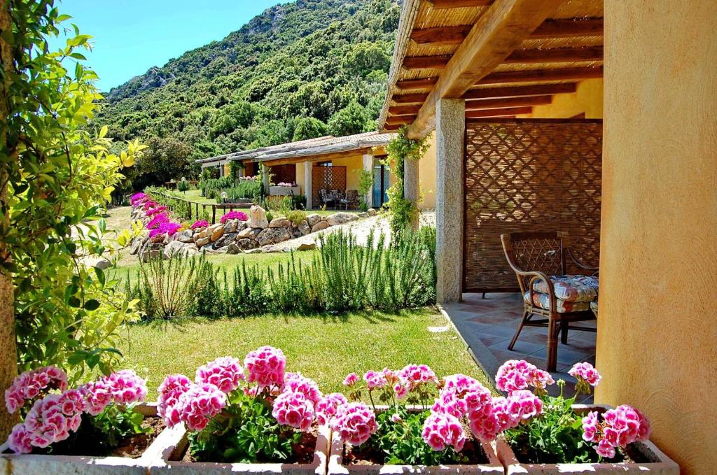 un jardín con flores rosas en un patio en Li Teggi Turismo Rurale, en San Teodoro
