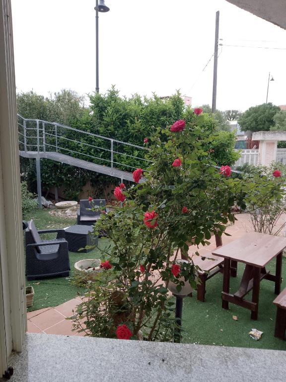 a bush with red roses sitting on a patio at Casa vacanze sa minda noa whit a private garden in Olbia