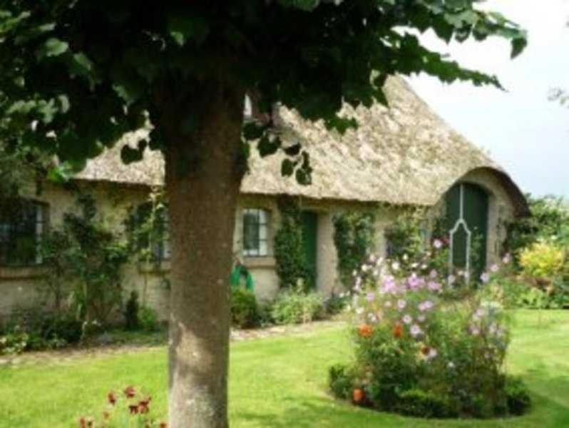 a large stone house with a tree in the yard at Little Rose Cottage - Urlaub unter Reet zwischen den Meeren in Börm