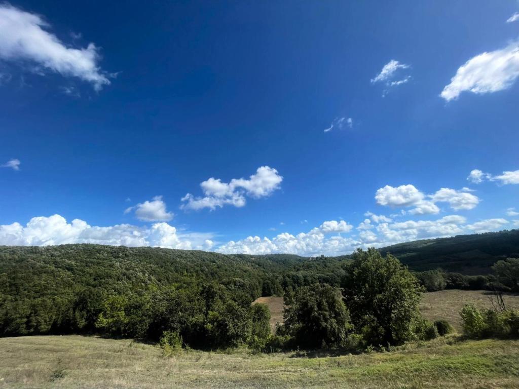 Azienda agricola il Poggione "il Granaio"