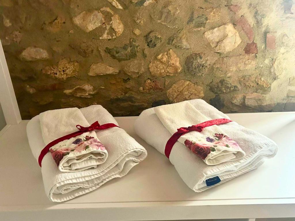 Azienda agricola il Poggione "il Granaio"