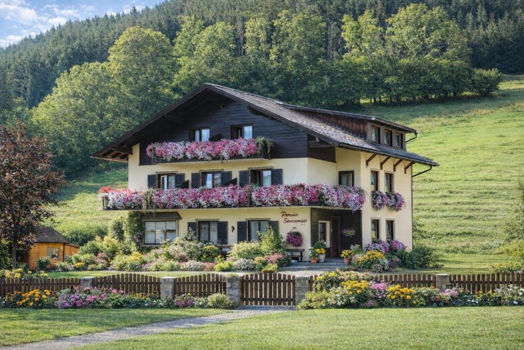 a house with flowers in front of it at Pension Speckmoser in Bad Mitterndorf