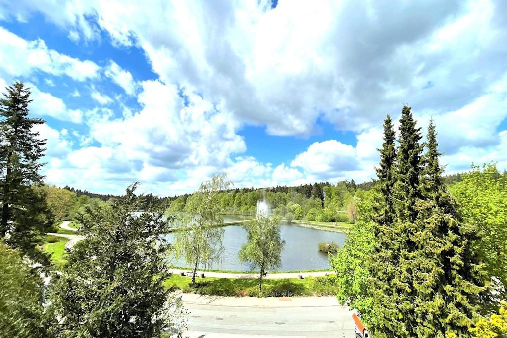 a view of a lake with a fountain in the middle at BLACKCOMs Erika in Goslar