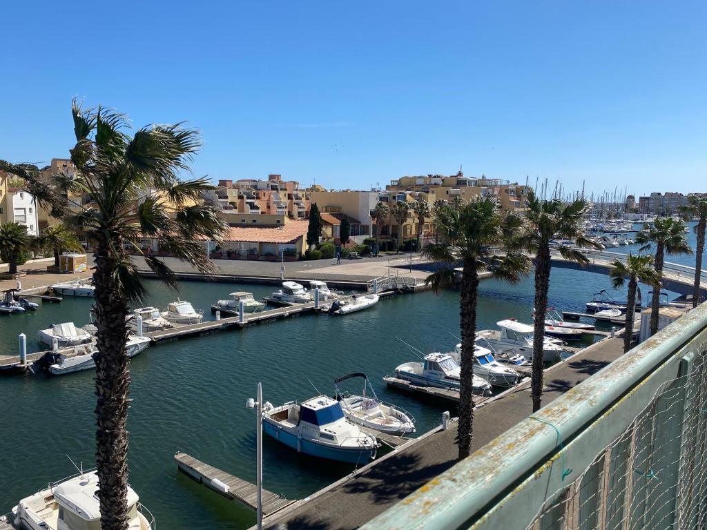 a marina with boats in a harbor with palm trees at Pause Soleil in Gruissan